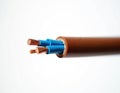 Close-up of electrical cable with three copper wires inside. Brown outer sheath protects blue insulated conductors ready for Royalty Free Stock Photo