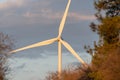 Close-up of an electricity wind turbine surrounded by trees