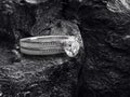 Close up of elegant diamond ring on black coal background. 3D render