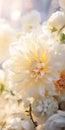 Close-up of elegant flower bouquet blossom