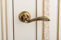 Close up an elegant golden door's handle