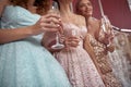 Close up of elegant ladies with champagne Royalty Free Stock Photo
