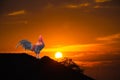 Elegant rooster crowing on colorful sky with sunrise and silhouette of tree and roof home on background Royalty Free Stock Photo