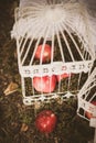 Close up of elements of beautiful photobooth in autumn city park