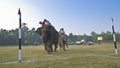 Close-up of elephant polo in Nepal