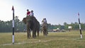 Close-up of elephant polo in Nepal