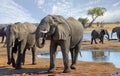 Close up of elephants next to a waterhole with a small herd on the background against a nice pale blue cloudy sky, Hwange National