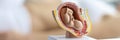 Embryo model, womans reproductive system, baby in belly, educational miniature