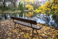 Close-up of empty bench, with yellow leaves on the ground, in a landscape of autumn trees, with pond