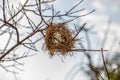 Close up empty birds nest