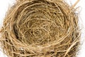 Close up of an Empty Nest. Focus in the Center of Nest. Royalty Free Stock Photo