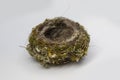 Close-up empty nest isolated on white background. Bird home. Top view. Consists of dry hay, blade of grass and feathers of birds.