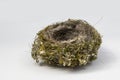 Close-up empty nest isolated on white background. Bird home. Top view. Consists of dry hay, blade of grass and feathers of birds.