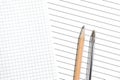 Close-up of empty pages in a cage and in a lined with pencil and pen. The choice of the two options. Top view, copy space Royalty Free Stock Photo