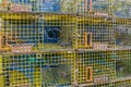 Close up of empty stacked lobster traps Royalty Free Stock Photo