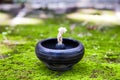 close-up of empty traditional clay lamp on the green moss ground