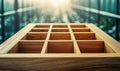 A wooden shadow box with a grid of empty compartments stands ready for curated collections. Royalty Free Stock Photo