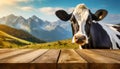 Empty Wooden Table and a Dairy Cow on a Mountain Landscape - Generative Ai Royalty Free Stock Photo