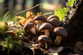 A Close-Up of Enchanting Mushrooms in the Forest. AI Generated
