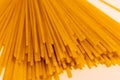 Close-Up Ends of Dry Spaghettini Pasta Noodles Royalty Free Stock Photo