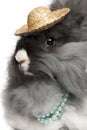 Close-up of English Angora rabbit wearing pearls