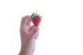 enticing strawberry being held by a female hand on a light background. Royalty Free Stock Photo