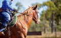 Close Up Of Equestrian And Horse In Barrel Racing Competition Royalty Free Stock Photo