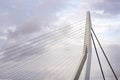 Close up of Erasmus Bridge in Rotterdam Royalty Free Stock Photo