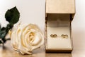 Close-up of eternity earring in gift box with white rose