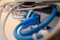 Close-up of Ethernet cable pluged on network switch, UTP cabling and computer network Royalty Free Stock Photo