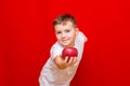 Caucasian boy kid child schoolboy apple gives in front red in his hands Royalty Free Stock Photo