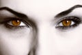 Close up of evil look Royalty Free Stock Photo