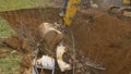 CLOSE UP: Excavator bucket crushes a rusty old car in a hole near scrapyard.