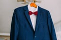 Close-up of excellent expensive blue suit with red bow-tie hanging on luster