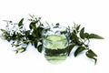 Close up of extract of Indian jasmine flower or juhi or Jasminum Auriculatum isolated on white in a transparent glass with raw flo