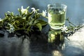 Close up of extract of Indian jasmine flower or juhi or Jasminum Auriculatum on wooden surface in a transparent glass with raw flo