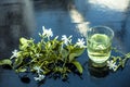 Close up of extract of Indian jasmine flower or juhi or Jasminum Auriculatum on wooden surface in a transparent glass with raw flo