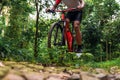 Close-up of Extreme Mountain Biking, Cyclist ride on MTB trails in the Green Forest with Mountain Bike, Outdoor sports activity Royalty Free Stock Photo
