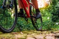 Close-up of Extreme Mountain Biking, Cyclist ride on MTB trails in the Green Forest with Mountain Bike, Outdoor sports activity Royalty Free Stock Photo