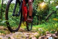 Close-up of Extreme Mountain Biking, Cyclist ride on MTB trails in the Green Forest with Mountain Bike, Outdoor sports activity Royalty Free Stock Photo