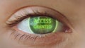 Close up eye access system analysing biometrics granting connection concept Royalty Free Stock Photo