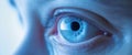 Close up of an eye with corporate blue lighting. Royalty Free Stock Photo