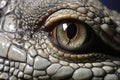 Close-up of the eye of a crocodile, Macro