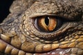 Close up of eye of a crocodile, Macro photography of an animal