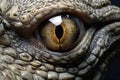 Close up of the eye of a crocodile, Macro shot