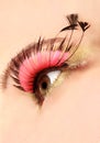 Close Up Of Eye With False Lashes Royalty Free Stock Photo