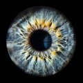 Close up of eye iris on black background. Royalty Free Stock Photo