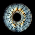 Close up of eye iris on black background. Royalty Free Stock Photo