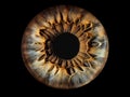 Close up of eye iris on black background Royalty Free Stock Photo