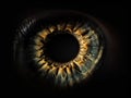 Close up of eye iris on black background Royalty Free Stock Photo
